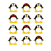 Penguins penguin