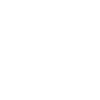 Penguin Antarctic