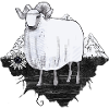 Sheep in the mountains