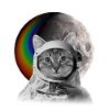 katze weltall