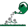 Garden flowers watering