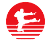 Karate martial arts fight