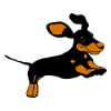 Dachshund Cute Dog Design