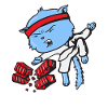 Karate cat
