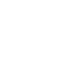 Renard visage - Fox Face