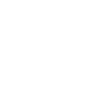 Rose "blanche"