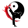 Yin Yang Karate Tae Kwon Do kick kick
