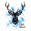 Platz Hirsch