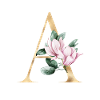 Alphabet A