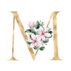 Alphabet M
