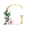 Alphabet G