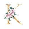 Alphabet K