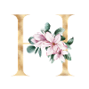 Alphabet H