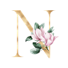 Alphabet N