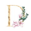 Alphabet D