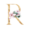Alphabet R