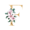Alphabet F