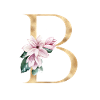 Alphabet B