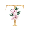 Alphabet T