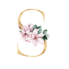 Alphabet S
