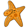 Dabbing Starfish Sea Star Beach Dab Dance