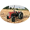 Red vintage tractor in field