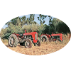 Tracteurs rouges sur le terrain