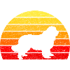 T-shirt Chien Terre-Neuve - Retro Sunrise