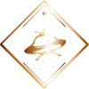 UFODesign