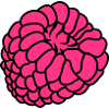 raspberry berries