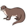 Nutria Acuario nutria Regalo de nutria enana