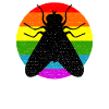 Rainbow fly