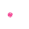 Cheerleading - Cheer Coach