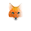 Polygone géométrique renard