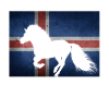 Islandpferd Flagge Island Reiter Geschenkidee