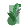 géométrie
