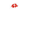 Swiss T-Shirt