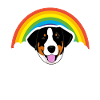 Appenzeller Sennenhund Christmas present