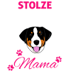 Appenzeller Sennenhund Christmas present