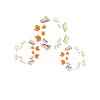 Read dandelion