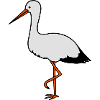 storch
