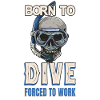 Diver say scuba mask skull