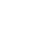Blackcraft moon phase moth