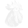 Rooster head white