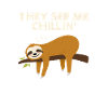Sloth Faultier