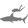 requin