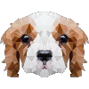 Dog pet gift