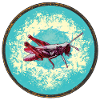 Detailed grasshopper illustration