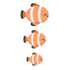 Goldfish Aquarium