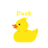 What the duck